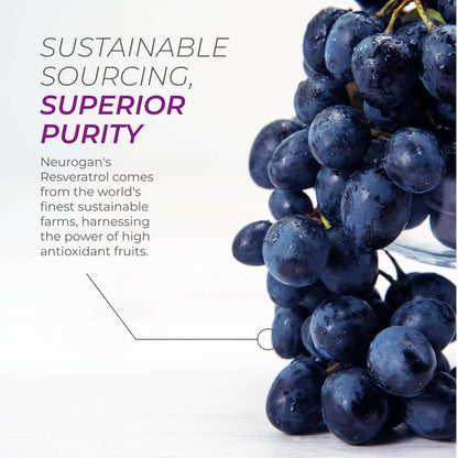Fresh grapes illustrating sustainable sourcing and superior purity in Neurogan's Resveratrol.