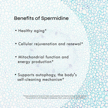 Benefits of Spermidine: healthy aging*, cellular rejuvenation*, mitochondrial function*, and autophagy support*.